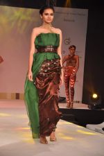 at Green Fashion Awards in Lalit Hotel, Mumbai on 6th April 2013 (96).JPG